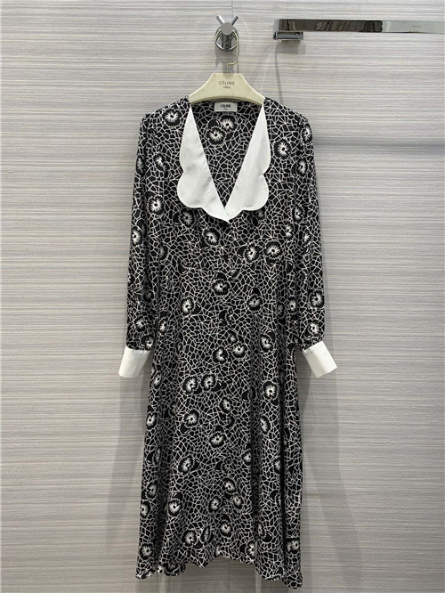 celine V-neck floral silk dress