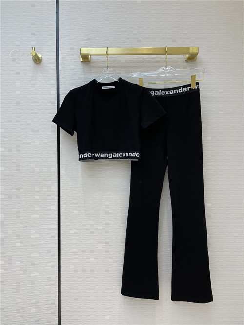 alexander wang suit