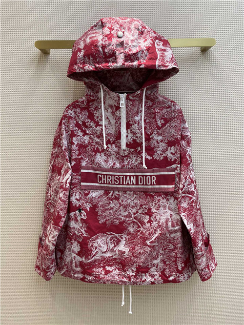 dior ink painting hooded jacket