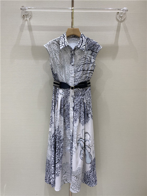 dior sleeveless printed dress