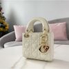 mini lady dior dioramour bag